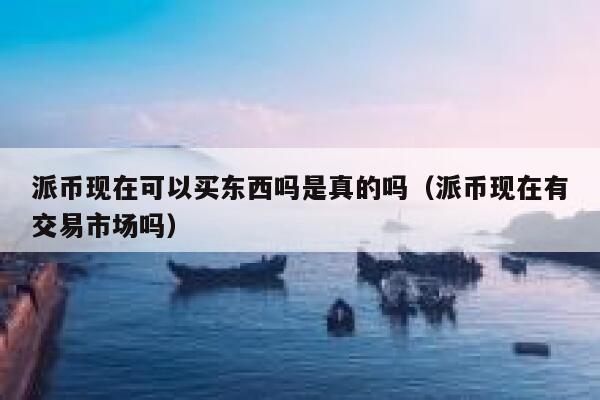派币现在可以买东西吗是真的吗（派币现在有交易市场吗） 第1张