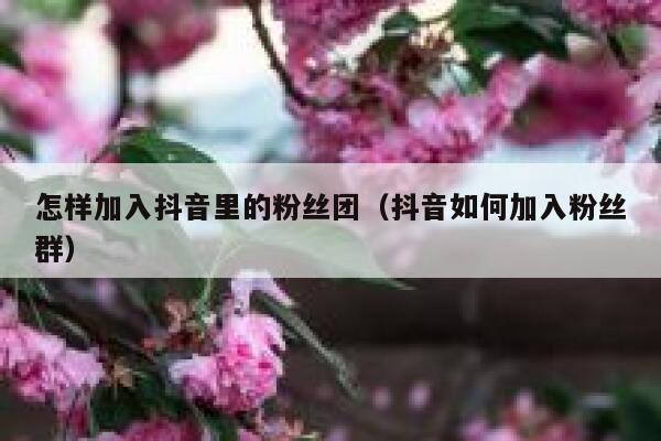 怎样加入抖音里的粉丝团（抖音如何加入粉丝群） 第1张
