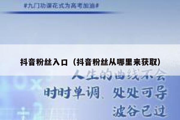 抖音粉丝入口（抖音粉丝从哪里来获取） 第1张