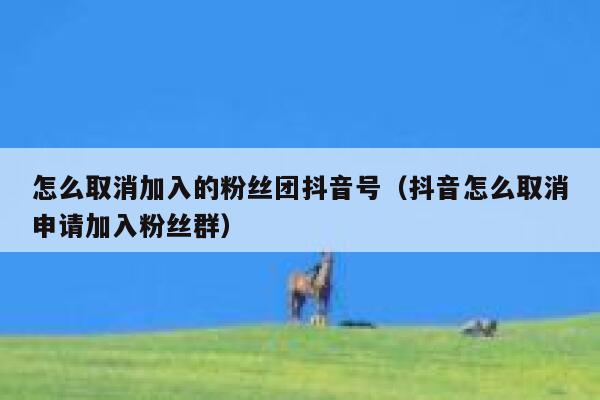 怎么取消加入的粉丝团抖音号(抖音怎么取消申请加入粉丝群) 第1张 怎么取消加入的粉丝团抖音号(抖音怎么取消申请加入粉丝群) 第1张