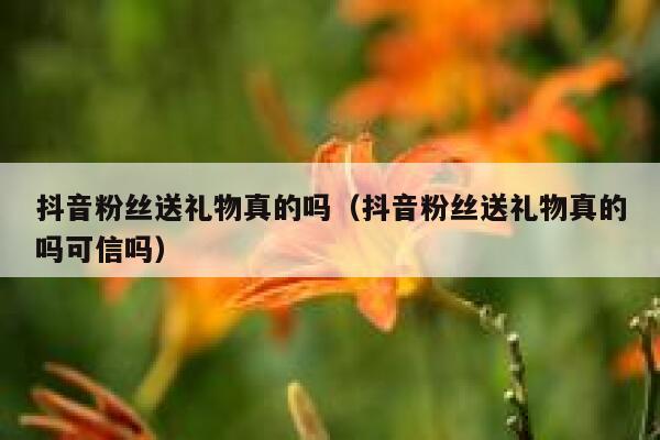 抖音粉丝送礼物真的吗（抖音粉丝送礼物真的吗可信吗） 第1张