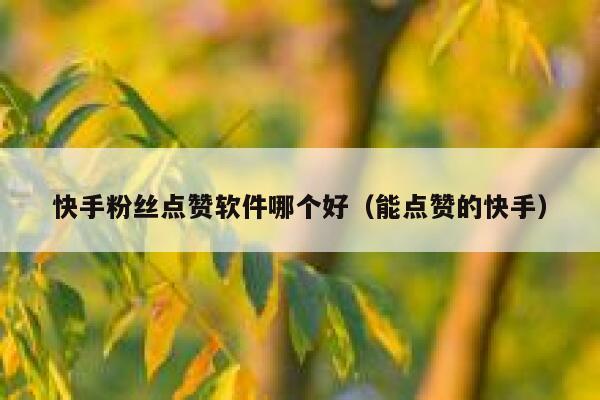 快手粉丝点赞软件哪个好（能点赞的快手） 第1张