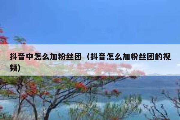 抖音中怎么加粉丝团（抖音怎么加粉丝团的视频） 第1张