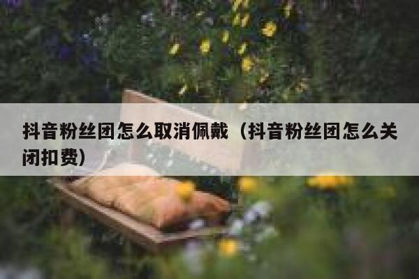 抖音粉丝团怎么取消佩戴（抖音粉丝团怎么关闭扣费） 第1张