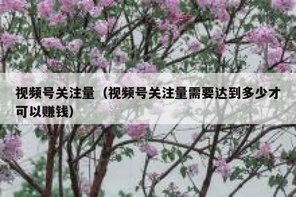 视频号关注量（视频号关注量需要达到多少才可以赚钱） 第1张
