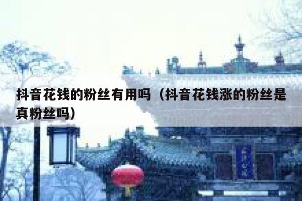 抖音花钱的粉丝有用吗（抖音花钱涨的粉丝是真粉丝吗） 第1张