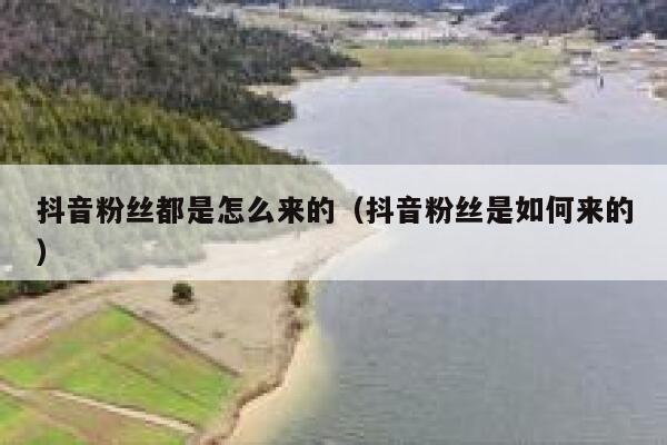 抖音粉丝都是怎么来的（抖音粉丝是如何来的） 第1张