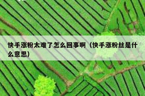 快手涨粉太难了怎么回事啊（快手涨粉丝是什么意思） 第1张