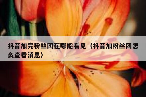 抖音加完粉丝团在哪能看见(抖音加粉丝团怎么查看消息) 第1张 抖音加完粉丝团在哪能看见(抖音加粉丝团怎么查看消息) 第1张