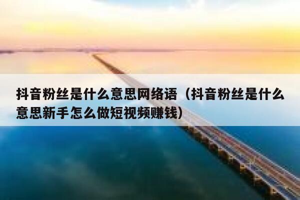 抖音粉丝是什么意思网络语（抖音粉丝是什么意思新手怎么做短视频赚钱） 第1张