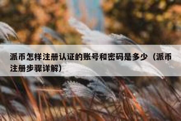 派币怎样注册认证的账号和密码是多少（派币注册步骤详解） 第1张