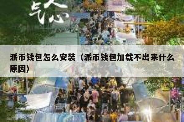 派币钱包怎么安装（派币钱包加载不出来什么原因） 第1张