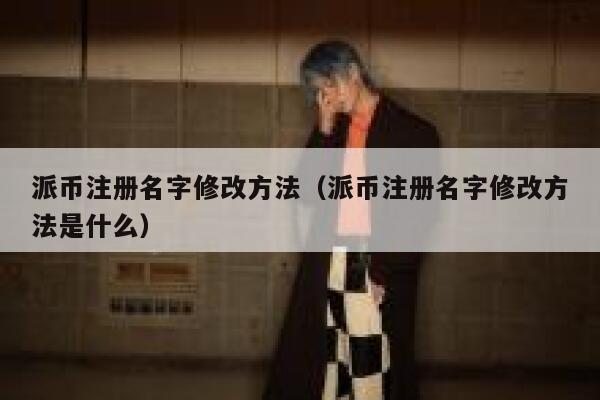 派币注册名字修改方法（派币注册名字修改方法是什么） 第1张