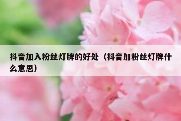 抖音加入粉丝灯牌的好处（抖音加粉丝灯牌什么意思） 第1张