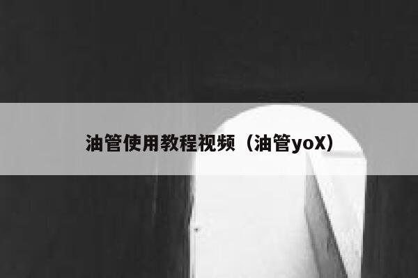 油管使用教程视频（油管yoX） 第1张