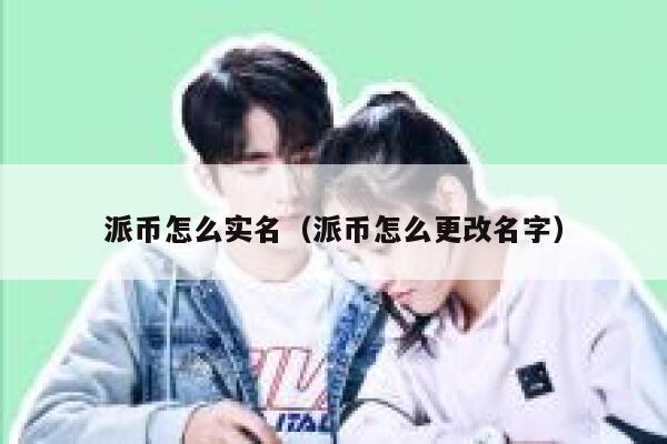 派币怎么实名（派币怎么更改名字） 第1张