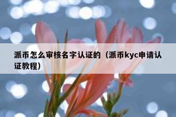 派币怎么审核名字认证的（派币kyc申请认证教程） 第1张
