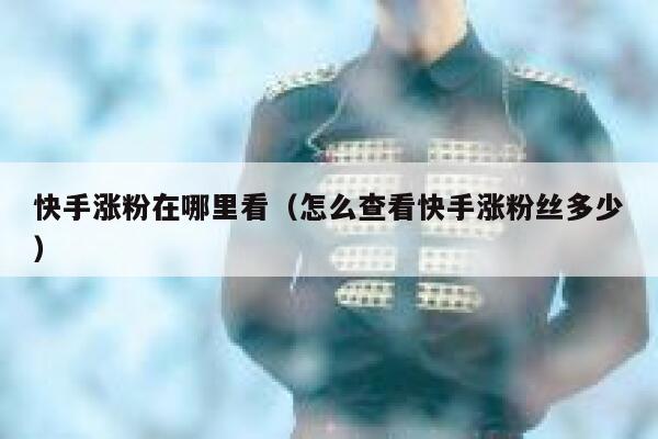 快手涨粉在哪里看(怎么查看快手涨粉丝多少) 第1张 快手涨粉在哪里看(怎么查看快手涨粉丝多少) 第1张