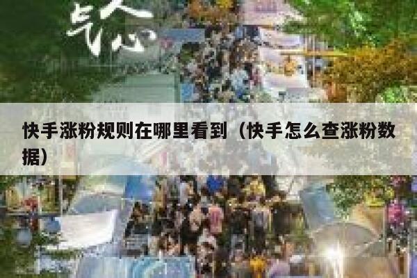 快手涨粉规则在哪里看到（快手怎么查涨粉数据） 第1张