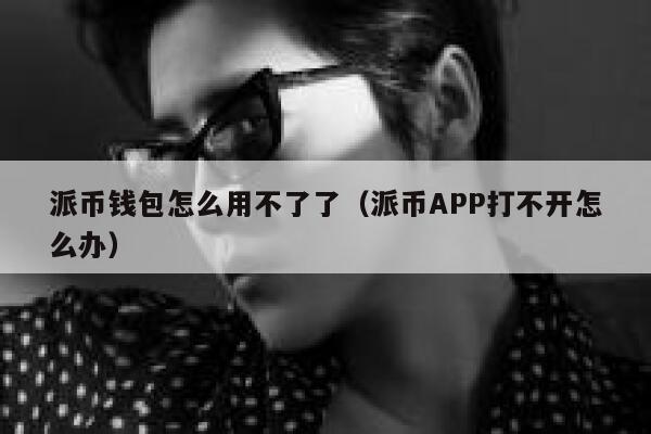 派币钱包怎么用不了了(派币APP打不开怎么办) 第1张 派币钱包怎么用不了了(派币APP打不开怎么办) 第1张