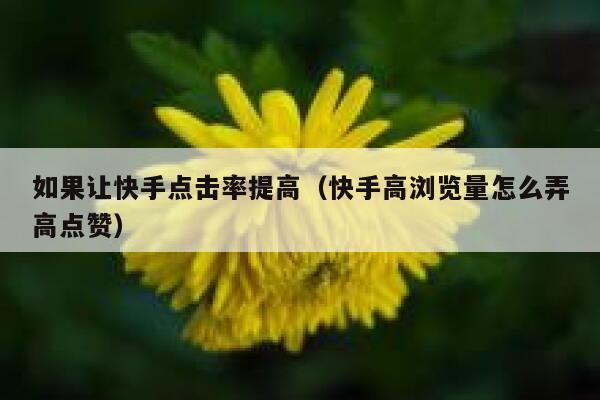 如果让快手点击率提高(快手高浏览量怎么弄高点赞) 第1张 如果让快手点击率提高(快手高浏览量怎么弄高点赞) 第1张