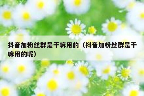 抖音加粉丝群是干嘛用的（抖音加粉丝群是干嘛用的呢） 第1张