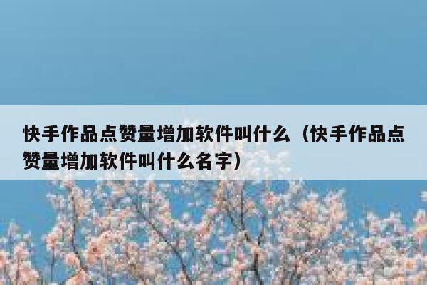 快手作品点赞量增加软件叫什么(快手作品点赞量增加软件叫什么名字) 第1张 快手作品点赞量增加软件叫什么(快手作品点赞量增加软件叫什么名字) 第1张