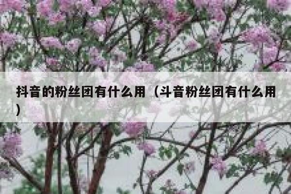 抖音的粉丝团有什么用(斗音粉丝团有什么用) 第1张 抖音的粉丝团有什么用(斗音粉丝团有什么用) 第1张