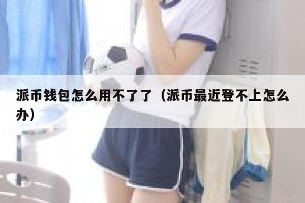 派币钱包怎么用不了了（派币最近登不上怎么办） 第1张