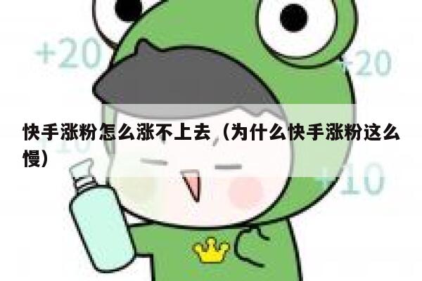快手涨粉怎么涨不上去（为什么快手涨粉这么慢） 第1张
