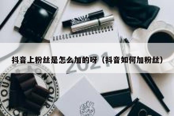 抖音上粉丝是怎么加的呀(抖音如何加粉丝) 第1张 抖音上粉丝是怎么加的呀(抖音如何加粉丝) 第1张