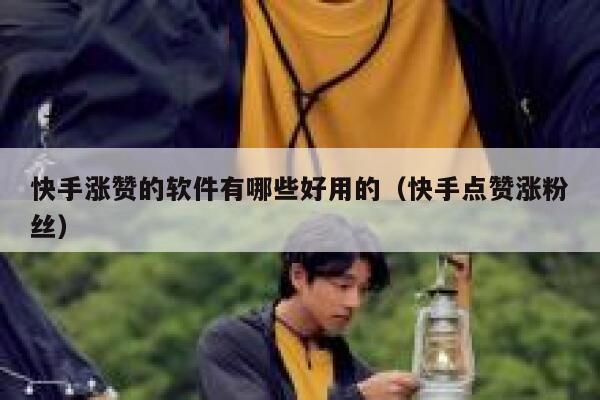 快手涨赞的软件有哪些好用的（快手点赞涨粉丝） 第1张