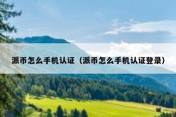派币怎么手机认证（派币怎么手机认证登录） 第1张