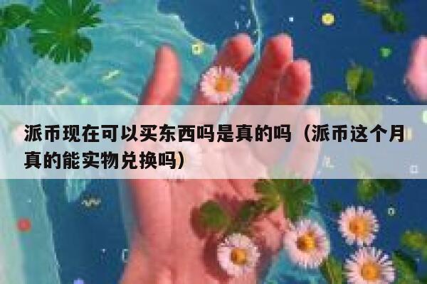 派币现在可以买东西吗是真的吗(派币这个月真的能实物兑换吗) 第1张 派币现在可以买东西吗是真的吗(派币这个月真的能实物兑换吗) 第1张