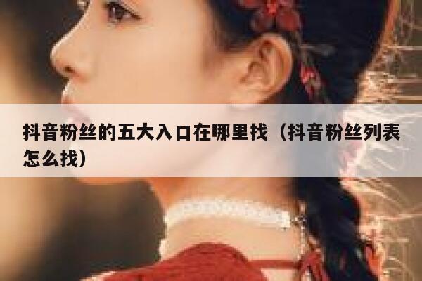 抖音粉丝的五大入口在哪里找(抖音粉丝列表怎么找) 第1张 抖音粉丝的五大入口在哪里找(抖音粉丝列表怎么找) 第1张
