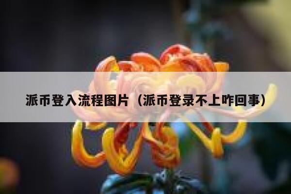 派币登入流程图片（派币登录不上咋回事） 第1张