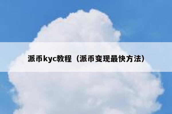 派币kyc教程（派币变现最快方法） 第1张