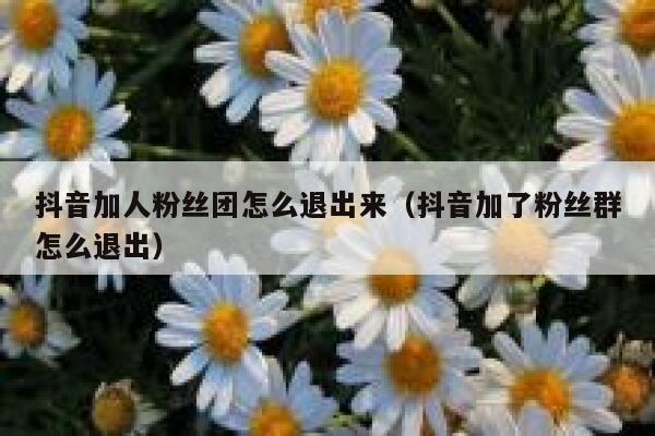 抖音加人粉丝团怎么退出来（抖音加了粉丝群怎么退出） 第1张