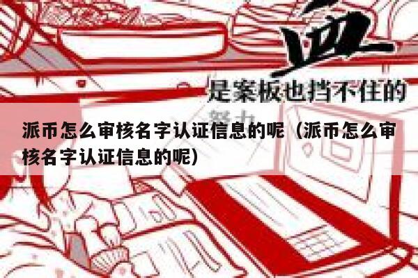 派币怎么审核名字认证信息的呢（派币怎么审核名字认证信息的呢） 第1张