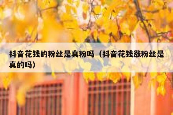 抖音花钱的粉丝是真粉吗（抖音花钱涨粉丝是真的吗） 第1张