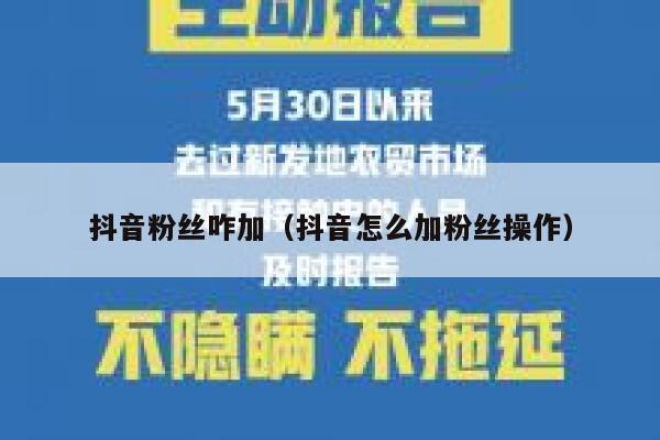 抖音粉丝咋加(抖音怎么加粉丝操作) 第1张 抖音粉丝咋加(抖音怎么加粉丝操作) 第1张