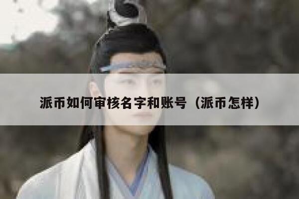 派币如何审核名字和账号(派币怎样) 第1张 派币如何审核名字和账号(派币怎样) 第1张
