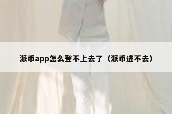 派币app怎么登不上去了（派币进不去） 第1张