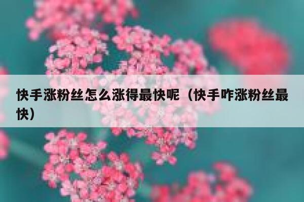 快手涨粉丝怎么涨得最快呢（快手咋涨粉丝最快） 第1张