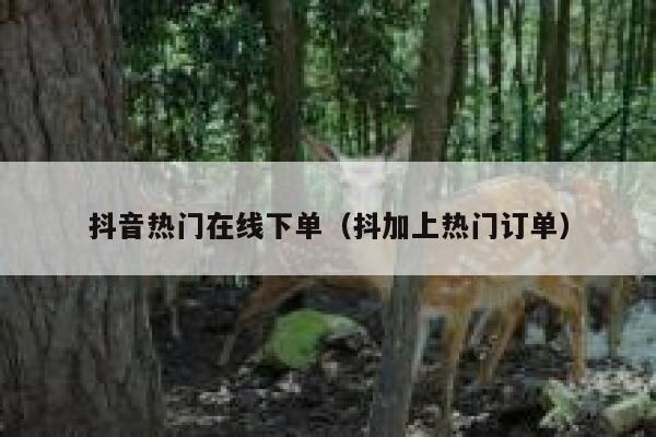 抖音热门在线下单（抖加上热门订单） 第1张