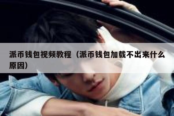 派币钱包视频教程（派币钱包加载不出来什么原因） 第1张