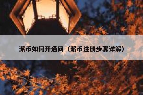 派币如何开通网（派币注册步骤详解） 第1张