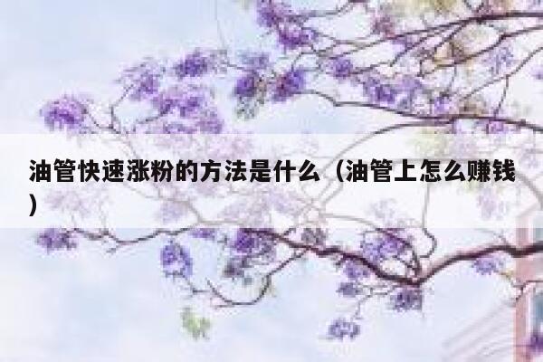 油管快速涨粉的方法是什么（油管上怎么赚钱） 第1张