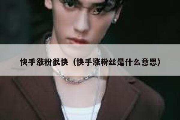 快手涨粉很快（快手涨粉丝是什么意思） 第1张