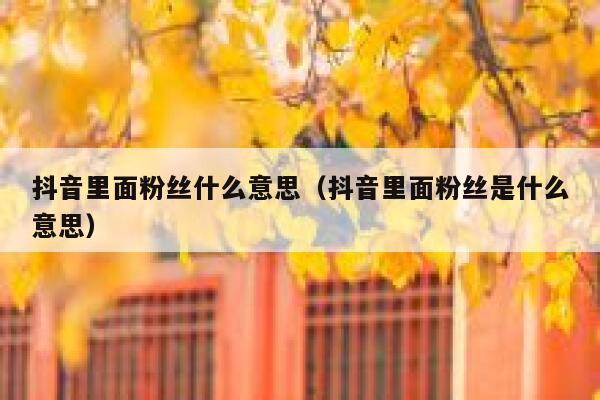 抖音里面粉丝什么意思（抖音里面粉丝是什么意思） 第1张